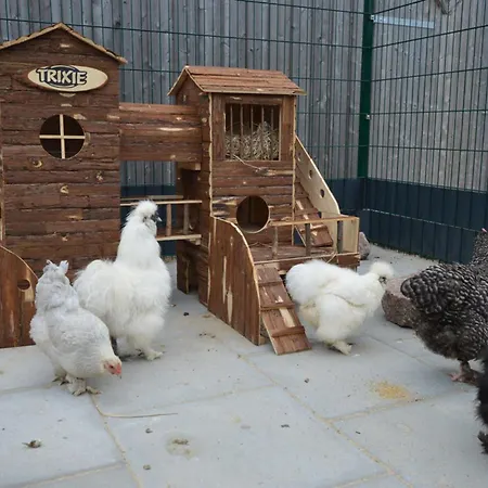 Reetdachhaus 1, Inkl 2 Parkplaetze *