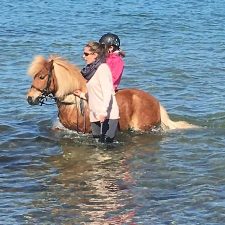 Reetdachhaus 1, Inkl 2 Parkplaetze Feriehus