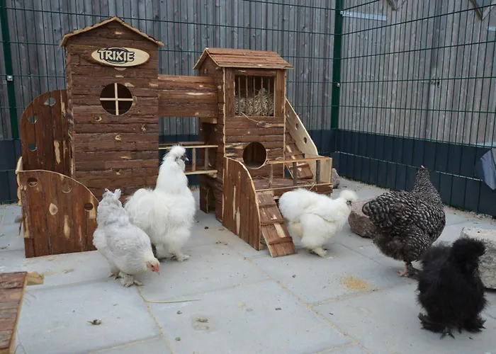 Reetdachhaus 1, Inkl 2 Parkplaetze *