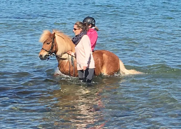 Reetdachhaus 1, Inkl 2 Parkplaetze Casa de Férias