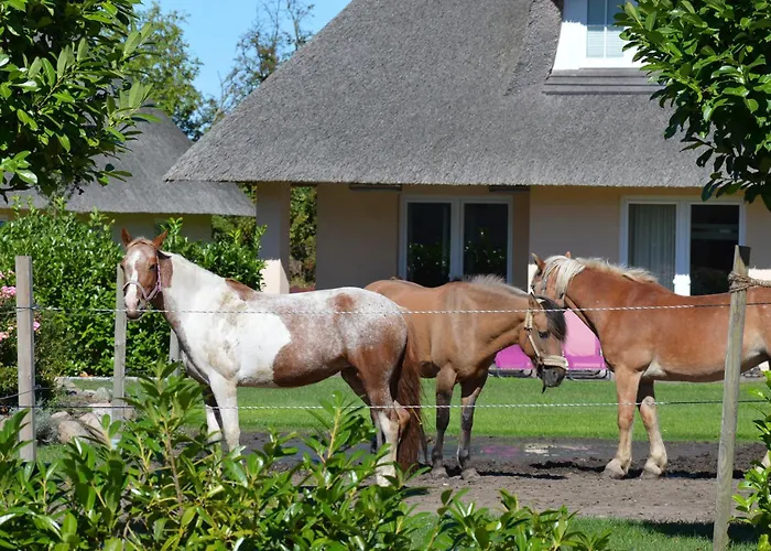 Casa de Férias Reetdachhaus 1, Inkl 2 Parkplaetze