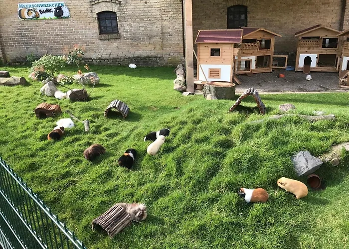 Reetdachhaus 1, Inkl 2 Parkplaetze Casa de Férias Fehmarn